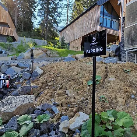 Strömy Demänovská Dolina